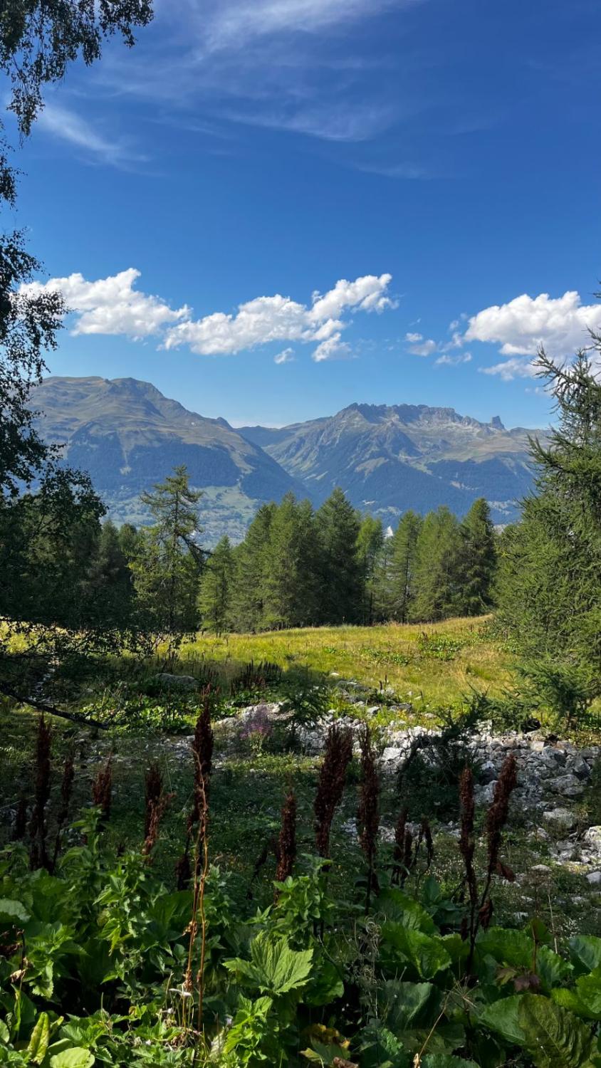 La montagne